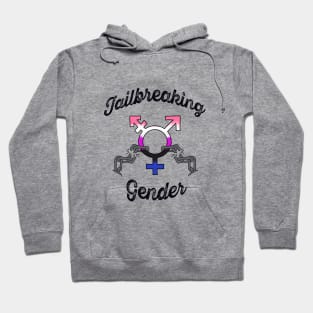 Jailbreaking Gender - Gender Fluid Hoodie